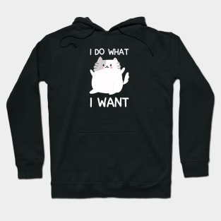 i do what i want cute cat Hoodie